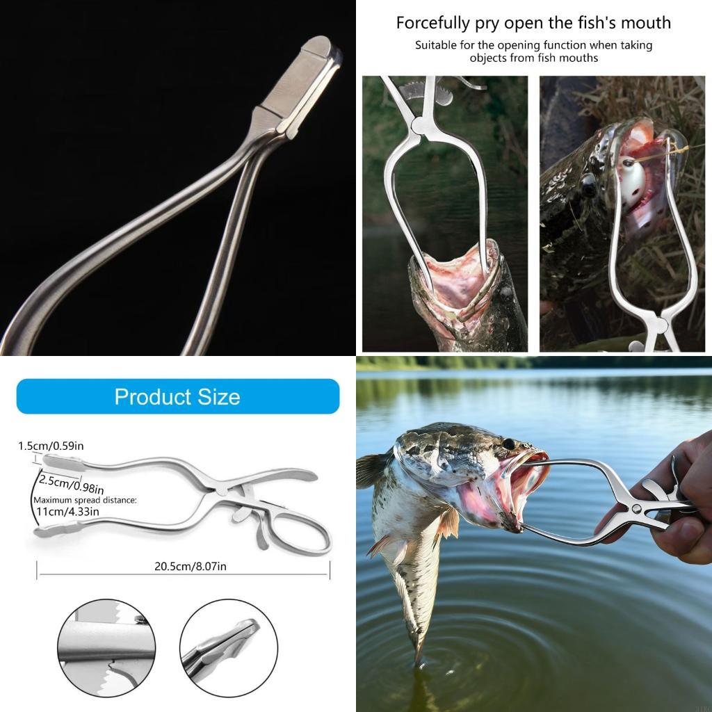 Fischmaulöffner Angelgriffwerk – Fishing Equipment Price Bewertung und Preis
