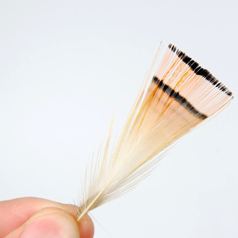 50PCS Natürliche Farbe Goldene – Fishing Equipment Brands Bewertung und Preis